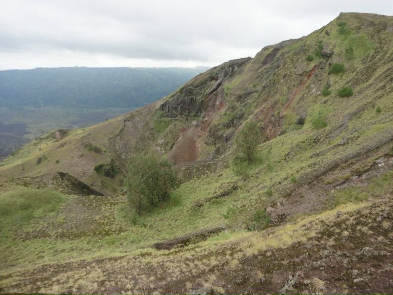 Сергей Жуков | Новосибирск