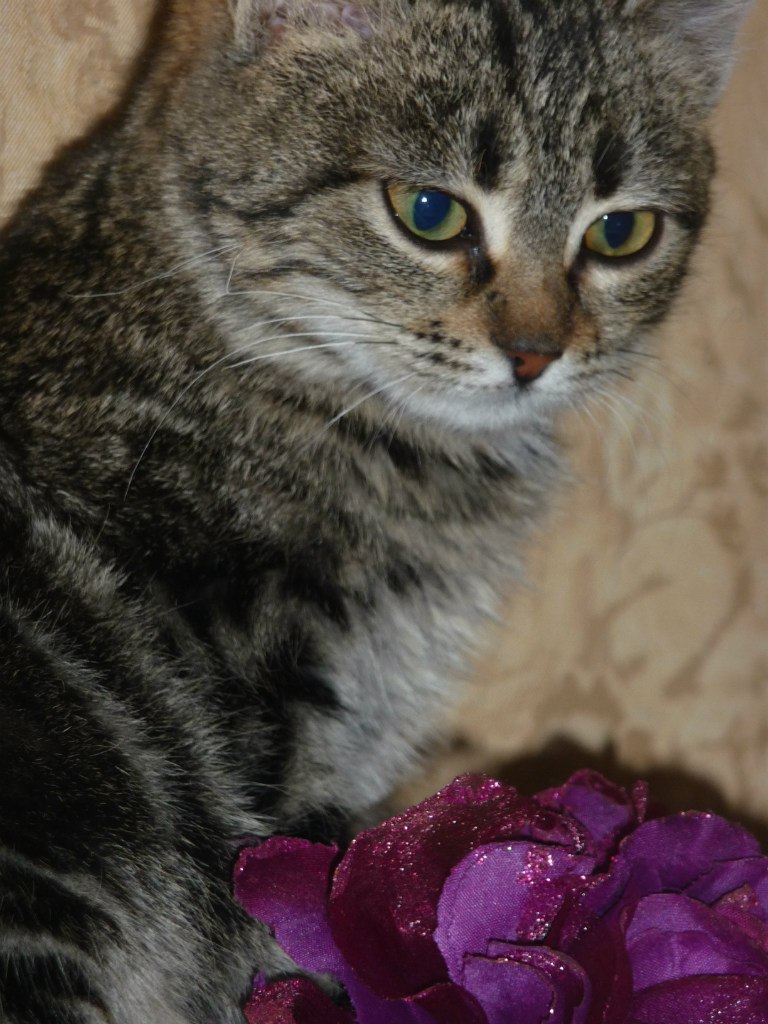 Руслана Богданова | Ростов-на-Дону