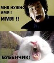 №31 Яна Дятленко