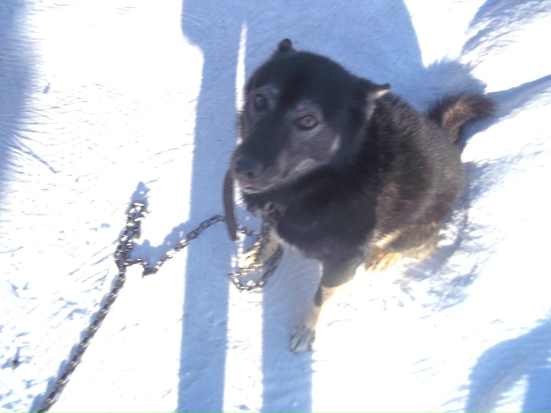 Лена Лобасова | Санкт-Петербург