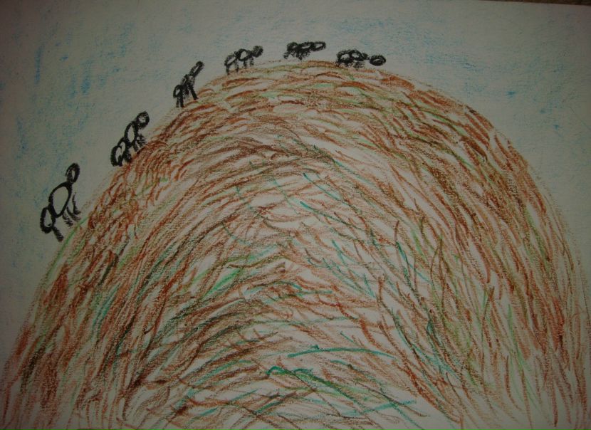 №81, Лилия Ш, Санкт-Петербург №81, Лилия Ш, Санкт-Петербург