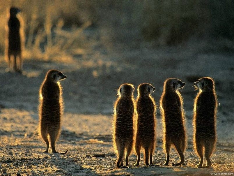 №67, Любовь Воробьева, Сочи №67, Любовь Воробьева, Сочи