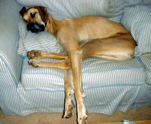 №6, Эдвин Добровольский, 38 лет, Сумы №6, Эдвин Добровольский, 38 лет, Сумы