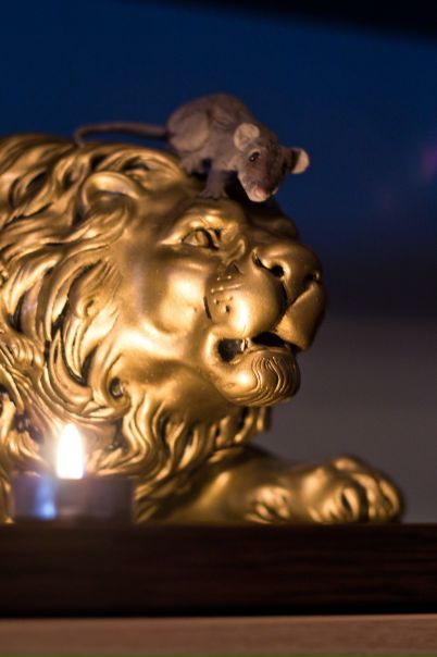 №51, Руслан Смак, Краснодар №51, Руслан Смак, Краснодар