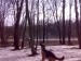 Назар Болібрух фотография #17 (источник - https://vk.com/id19097186)