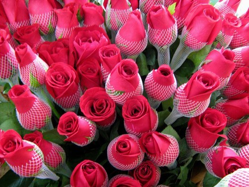 Екатерина Алексеева | Москва