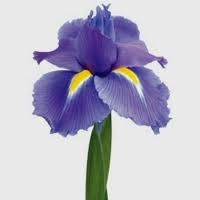 Ірина Москальчук | Тернополь