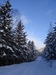Юлия Кудряшова фотография #29