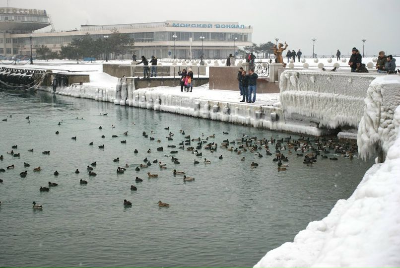 Андрей Макеев *drue* | Краснодар