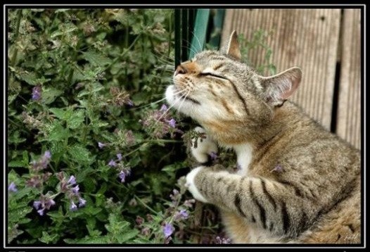 Юрий Могулев | Каменское / Днепродзержинск