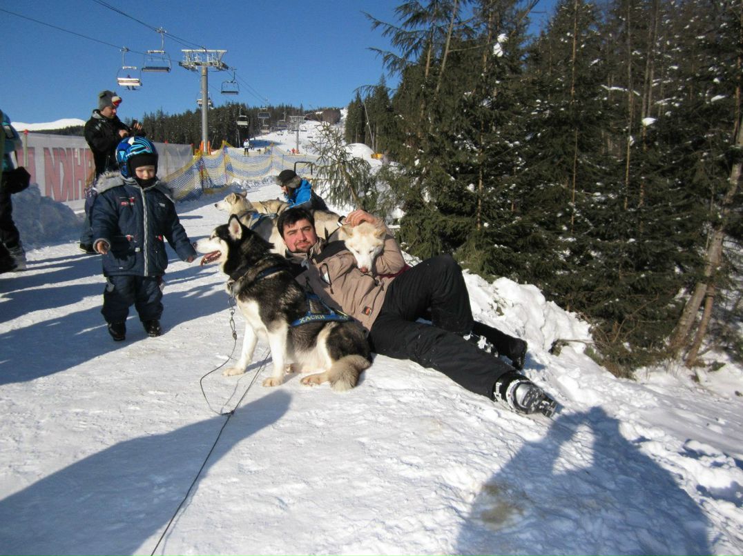 Артим Нестор | Львов