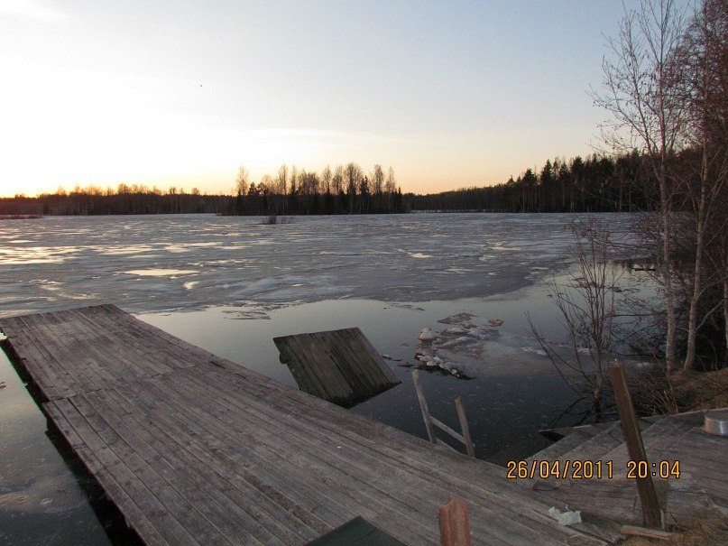 Ольга Маркелова | Санкт-Петербург