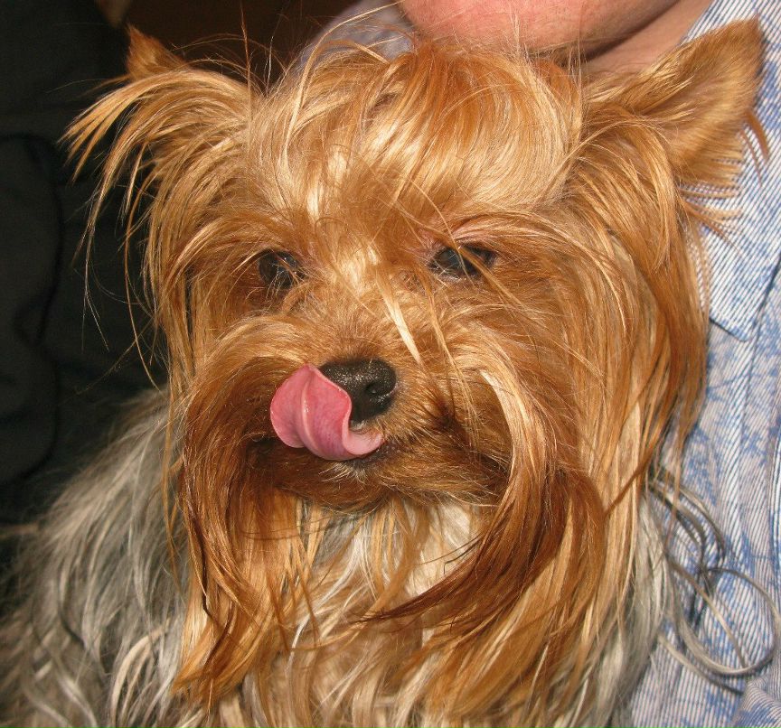 Виктория Финешина | Москва