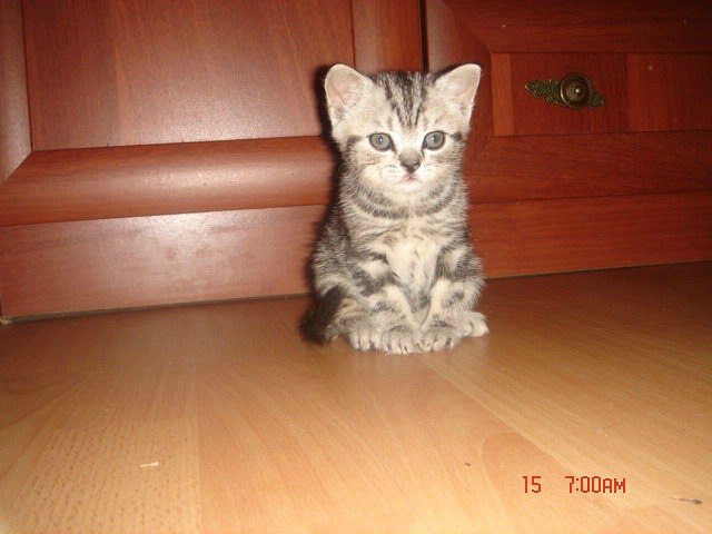 Тамара Наумова | Москва