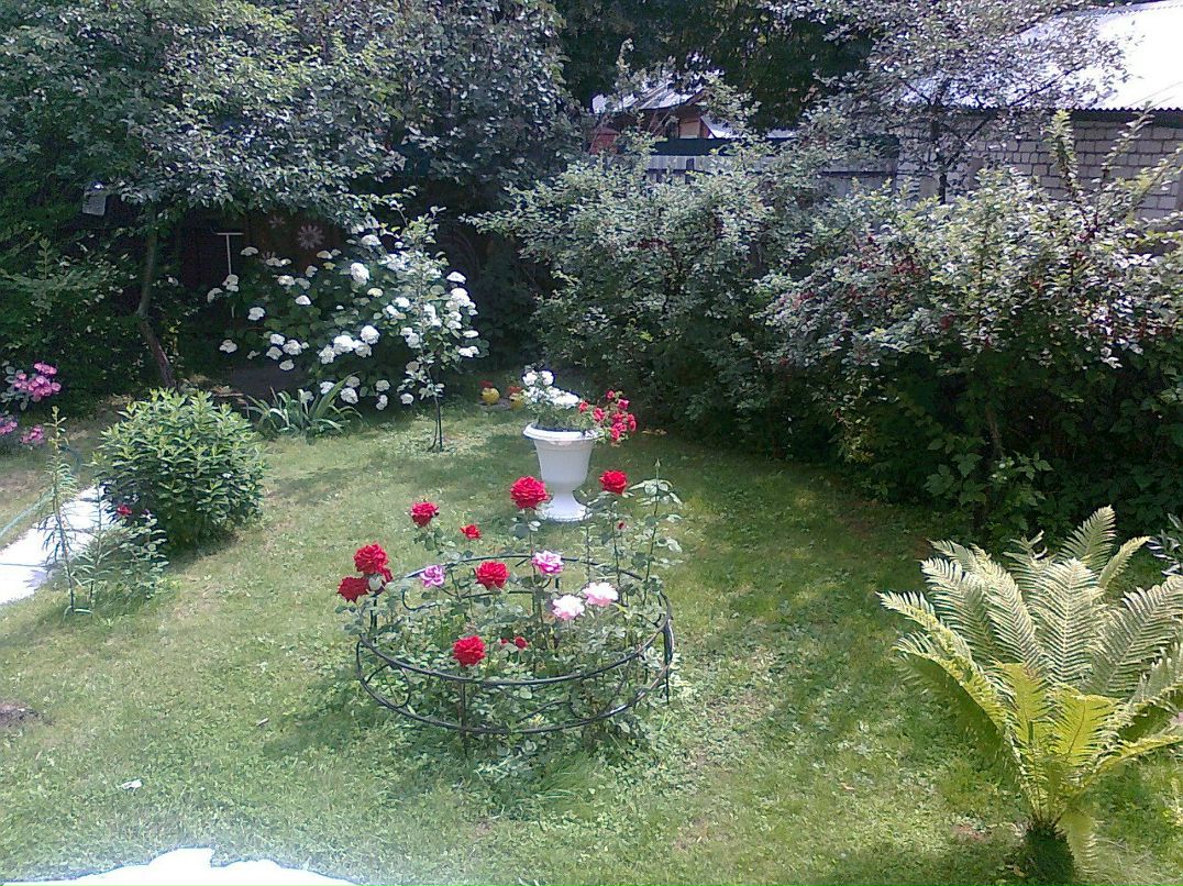 Золотая Рыбка | Москва