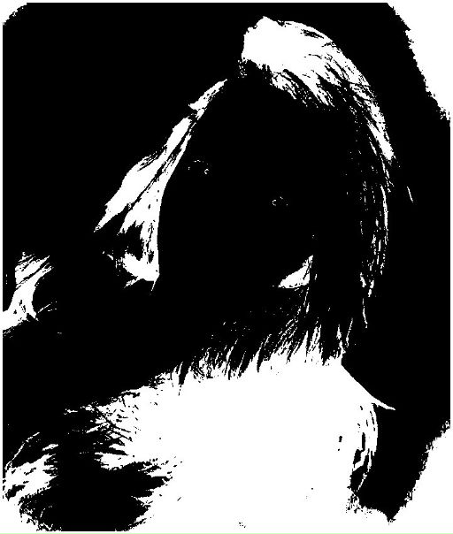 №55, Виктория Ткаченко, 30 лет, Санкт-Петербург №55, Виктория Ткаченко, 30 лет, Санкт-Петербург