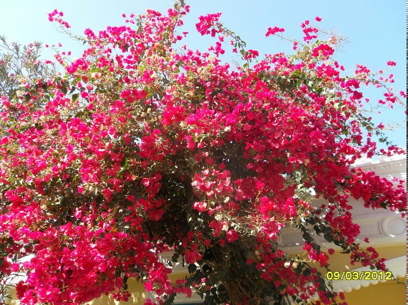 Ирина Богданова | Санкт-Петербург