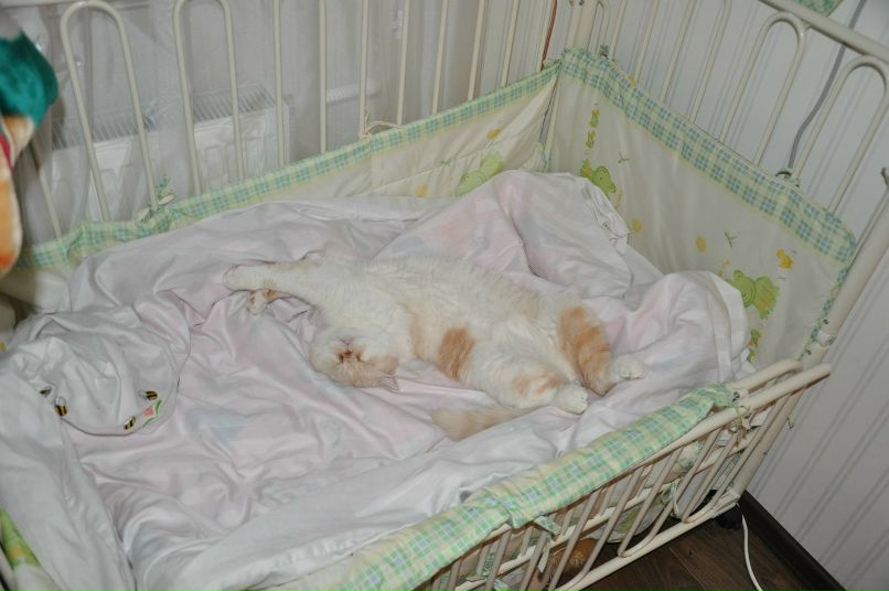 Ольга Корнышова | Чернигов