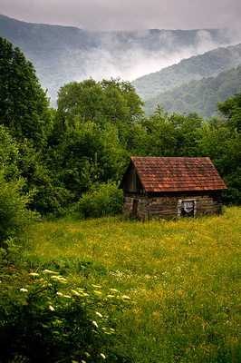 Юстя Будна | Тернополь