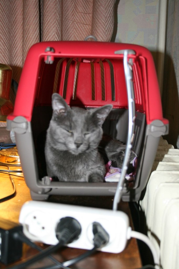 Ира Витковская | Киев