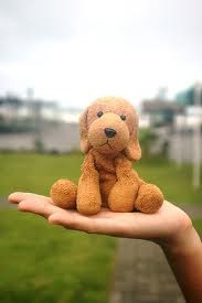 №60, Фируза Донде, Баку №60, Фируза Донде, Баку