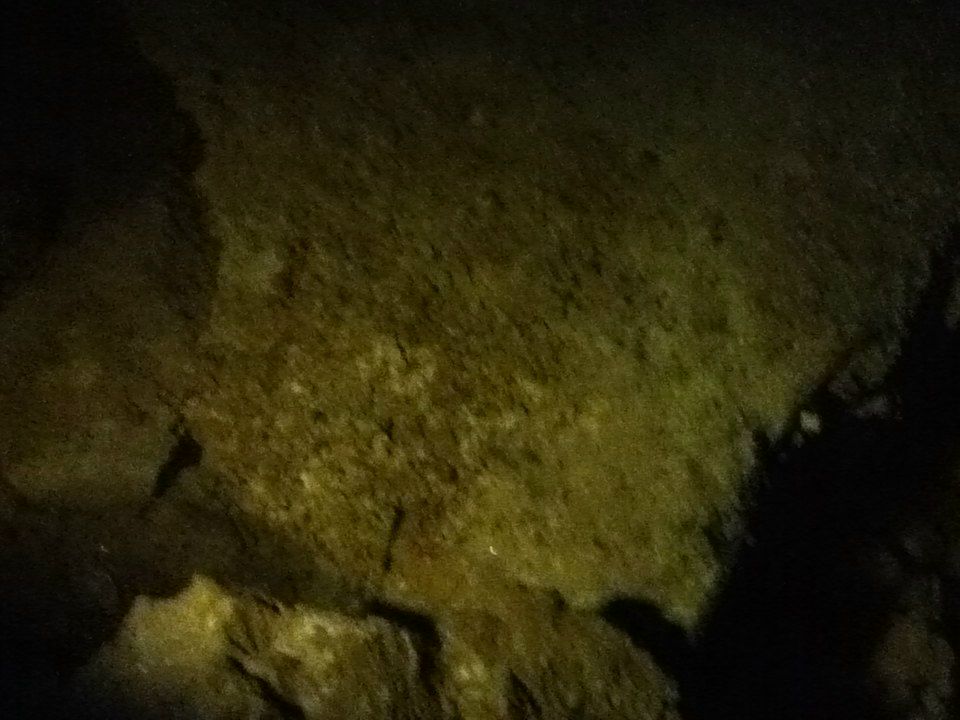 Алексей Краснопевков | Москва