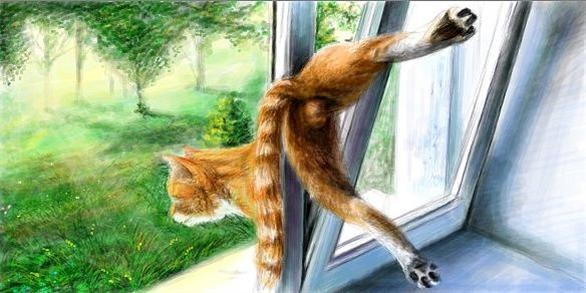 №23, Оксана Шевчук, Ивано-Франковск №23, Оксана Шевчук, Ивано-Франковск