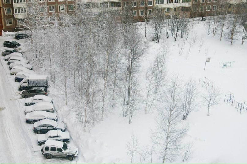 Ксения Ярмошик | Санкт-Петербург