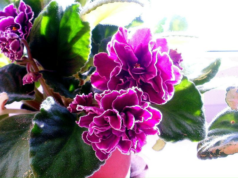 Гульнара Зарипова | Челябинск