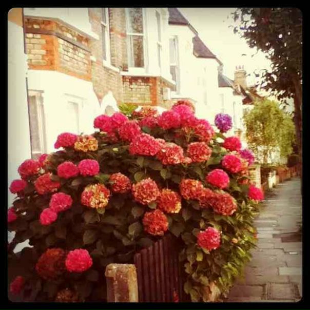 №1, Юля Макарова, 35 лет, Zürich №1, Юля Макарова, 35 лет, Zürich