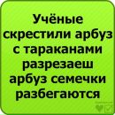 №12 Оксана Джигурденко 20.04: профиль, фото, статус - ВКонтакте №12 Оксана Джигурденко 20.04: профиль, фото, статус - ВКонтакте
