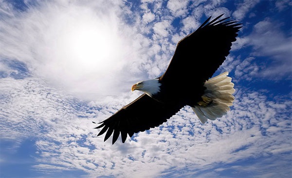 №109, Руслан Салимов, 44 года, Киев №109, Руслан Салимов, 44 года, Киев