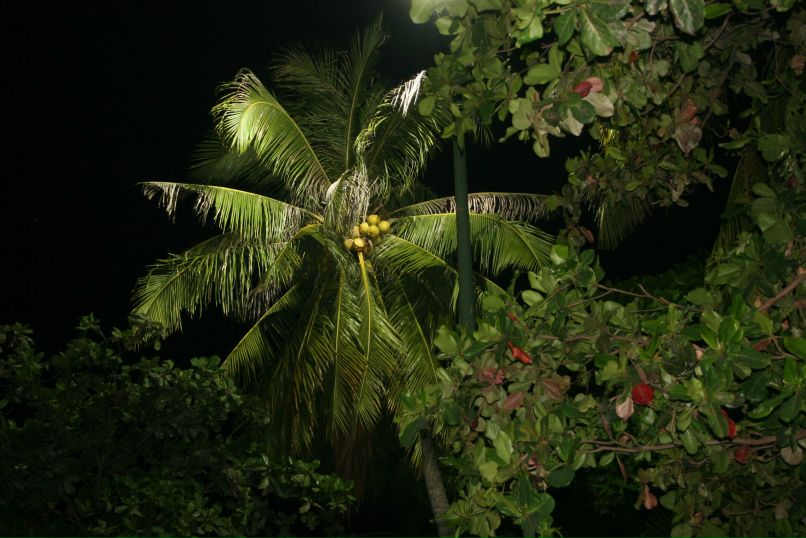 Артем Сывороткин | Екатеринбург