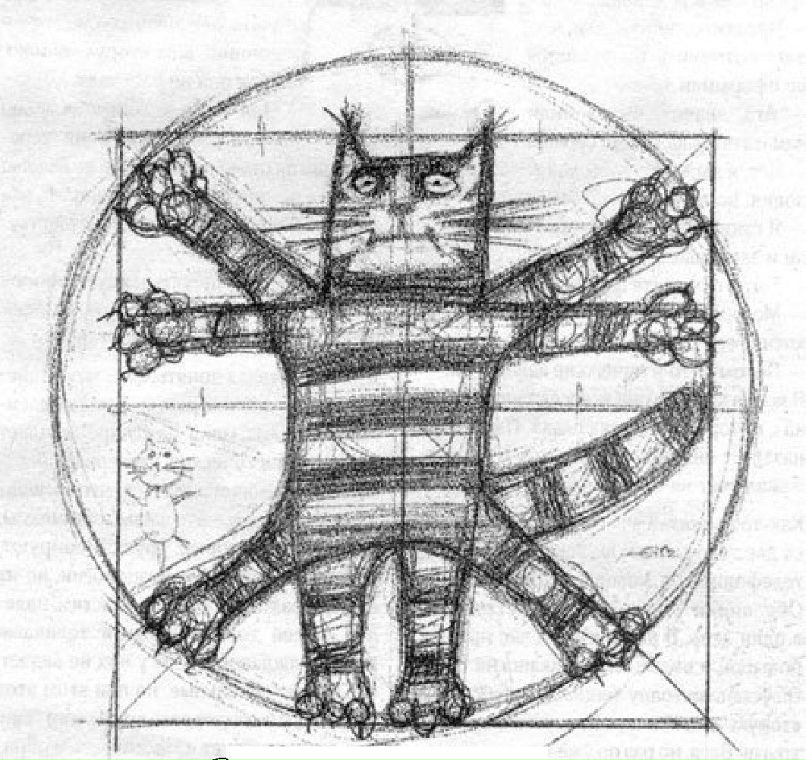 Иван Котенко | Москва