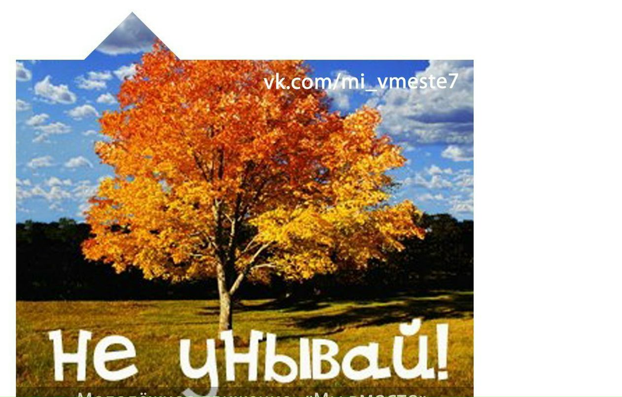 Нина Макеева | Кожевниково