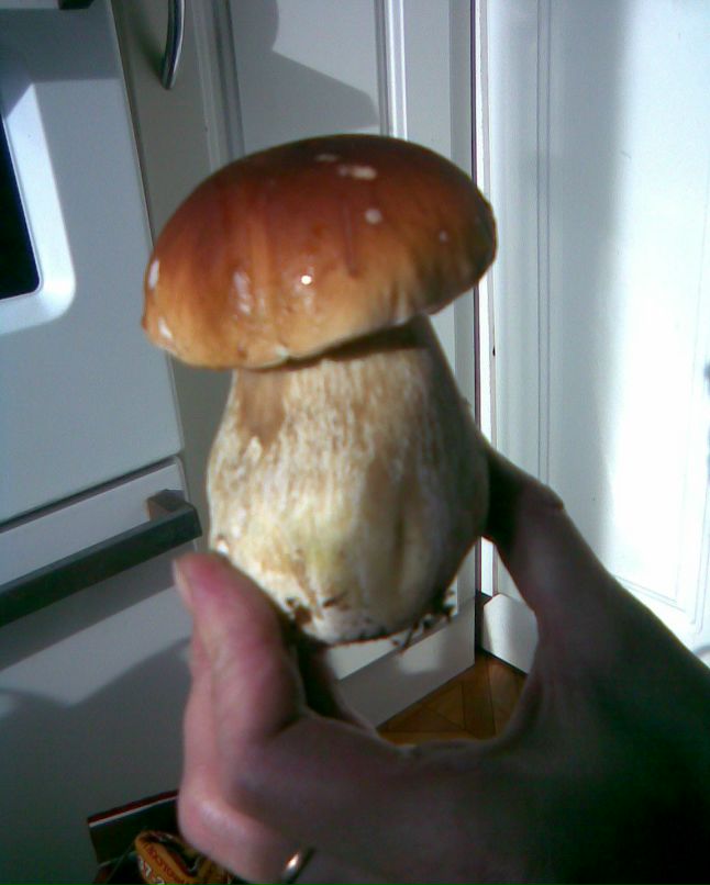 Игорь Ершов | Мурманск