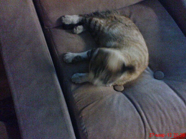 Елена Ленькина &Николаевна | Бийск