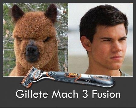 Валерий Матусевич | Санкт-Петербург