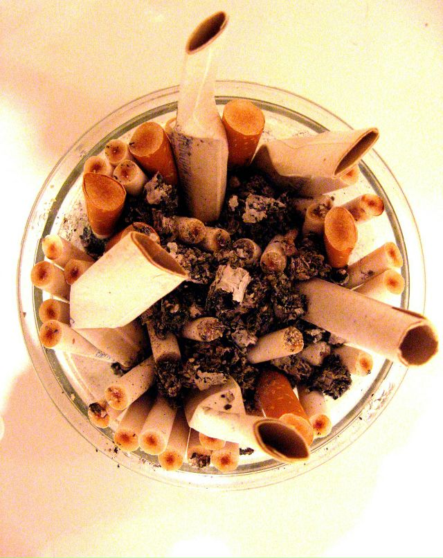 Алексей Онищенко | Санкт-Петербург