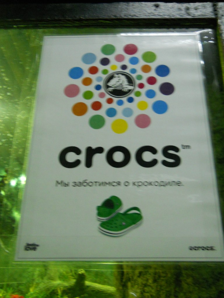 Анютка Ярыгина | Калининград