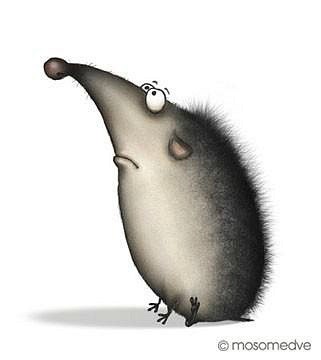 Света Кирилко | 