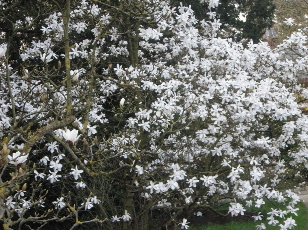 Рая Максименко | Paris