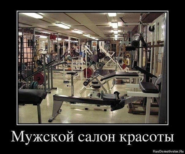 Андрей Мельдер 