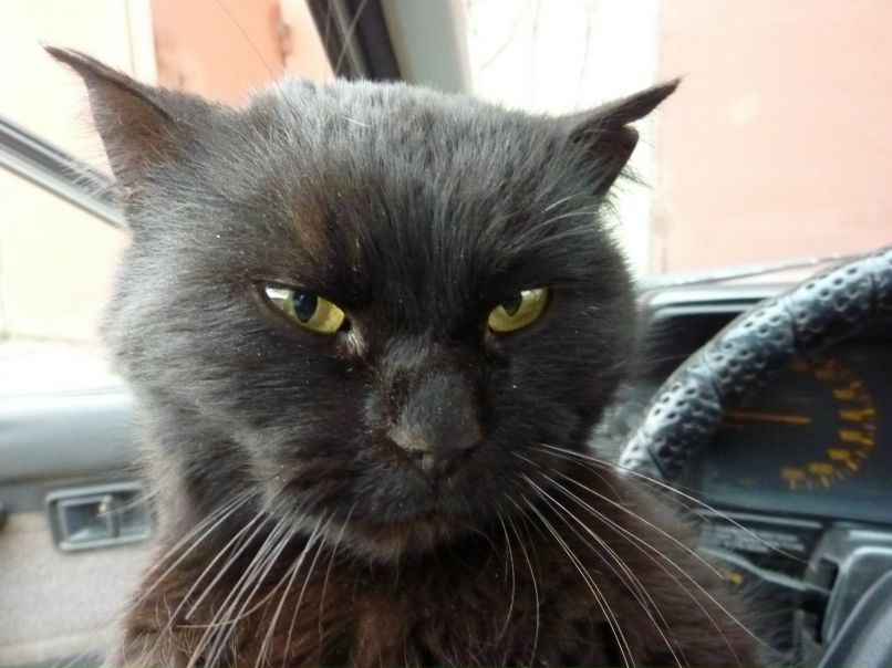 Виталий Сидоров | Жеребково