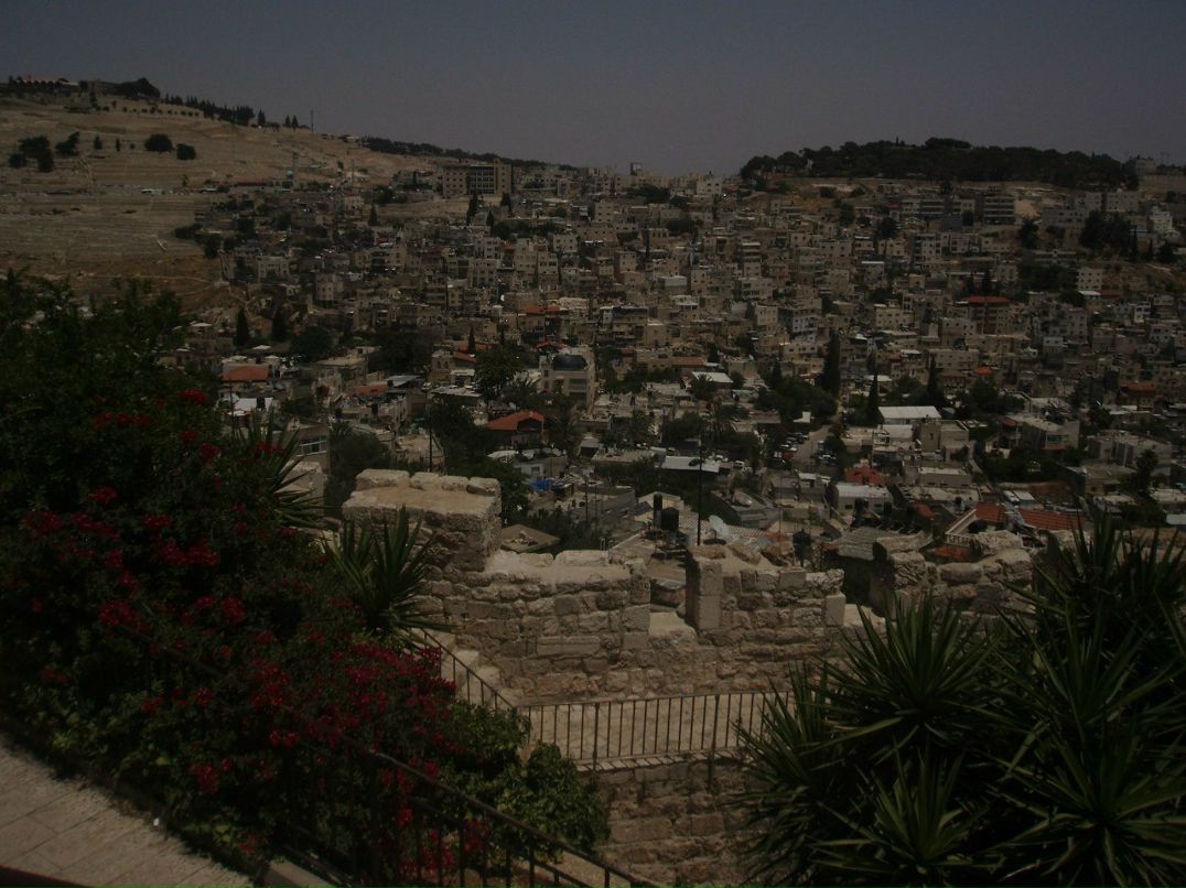 Оксана Лац-Бабій | Львов