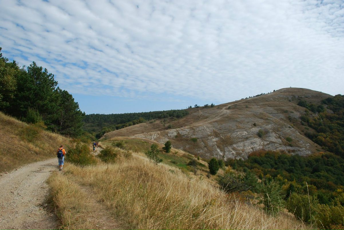 Дмитрий Наседкин | Киев