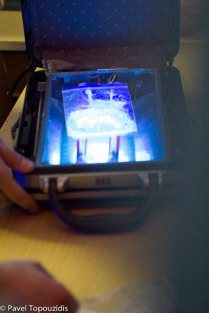 Александр Федотов | Минск