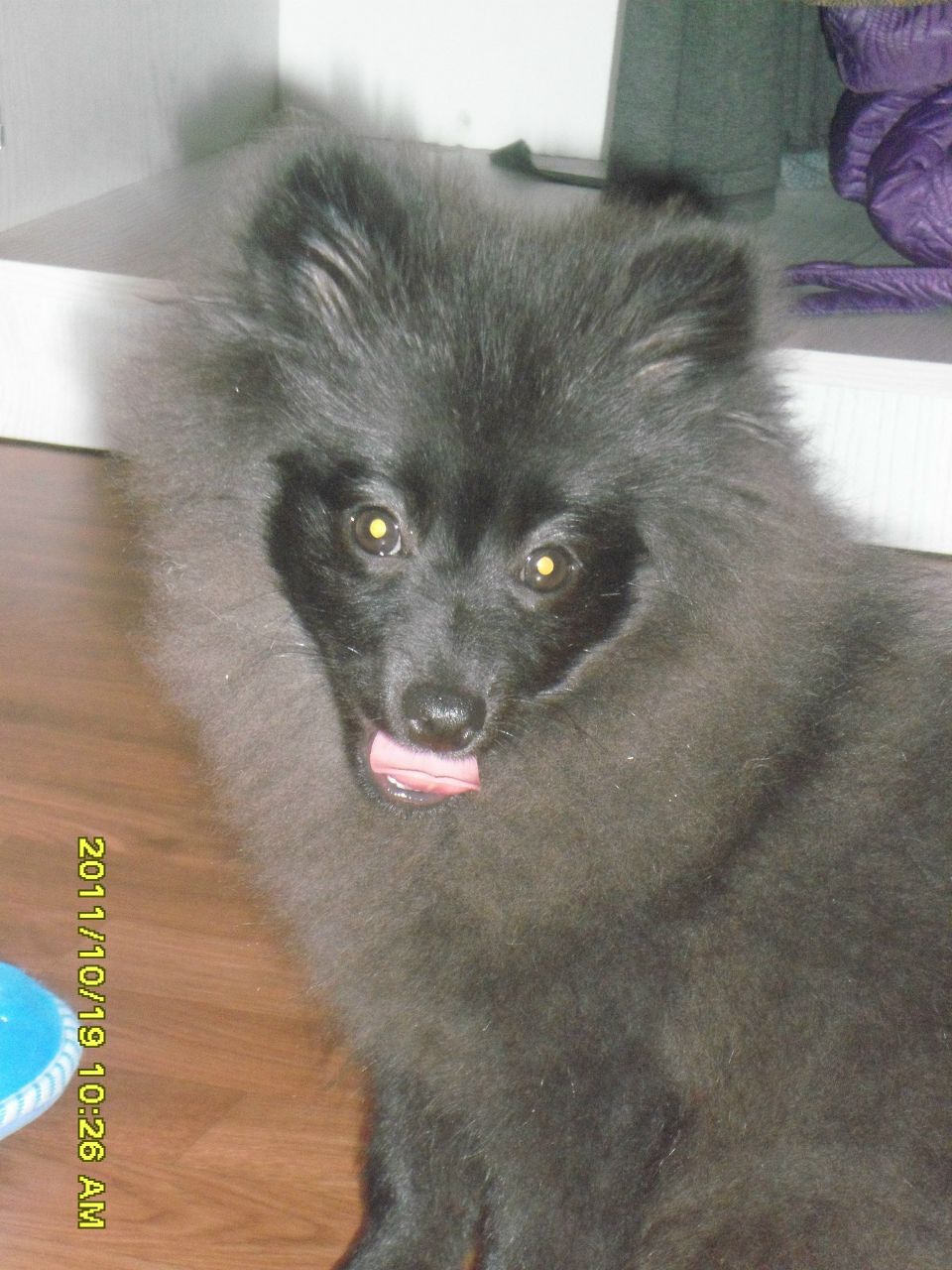 Кристина Тавдишвили | Алматы