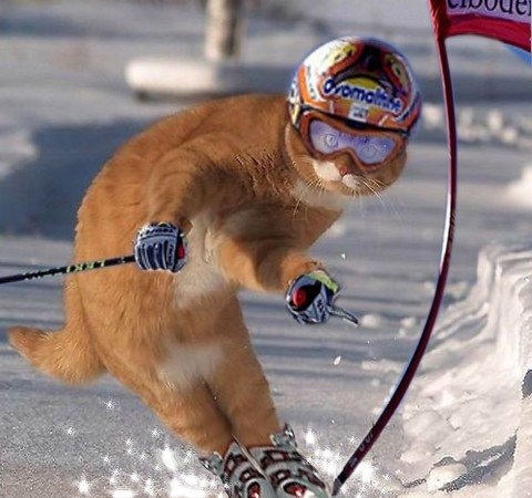 Елена Леонова | Санкт-Петербург