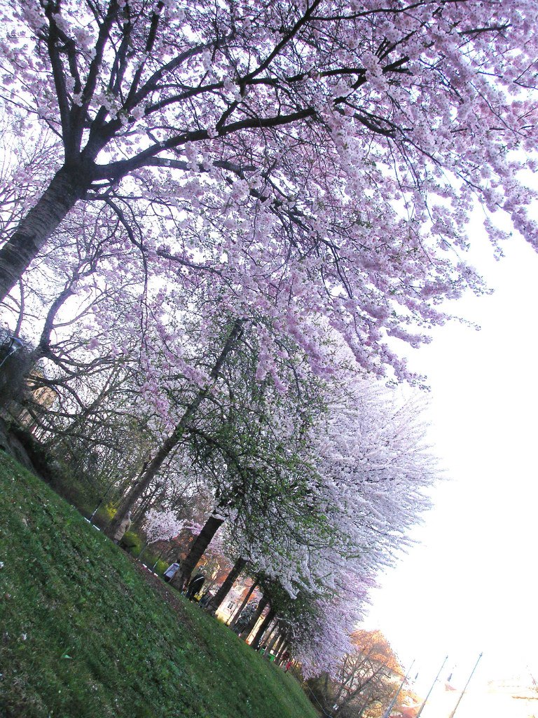 Женя Саликова | Пермь